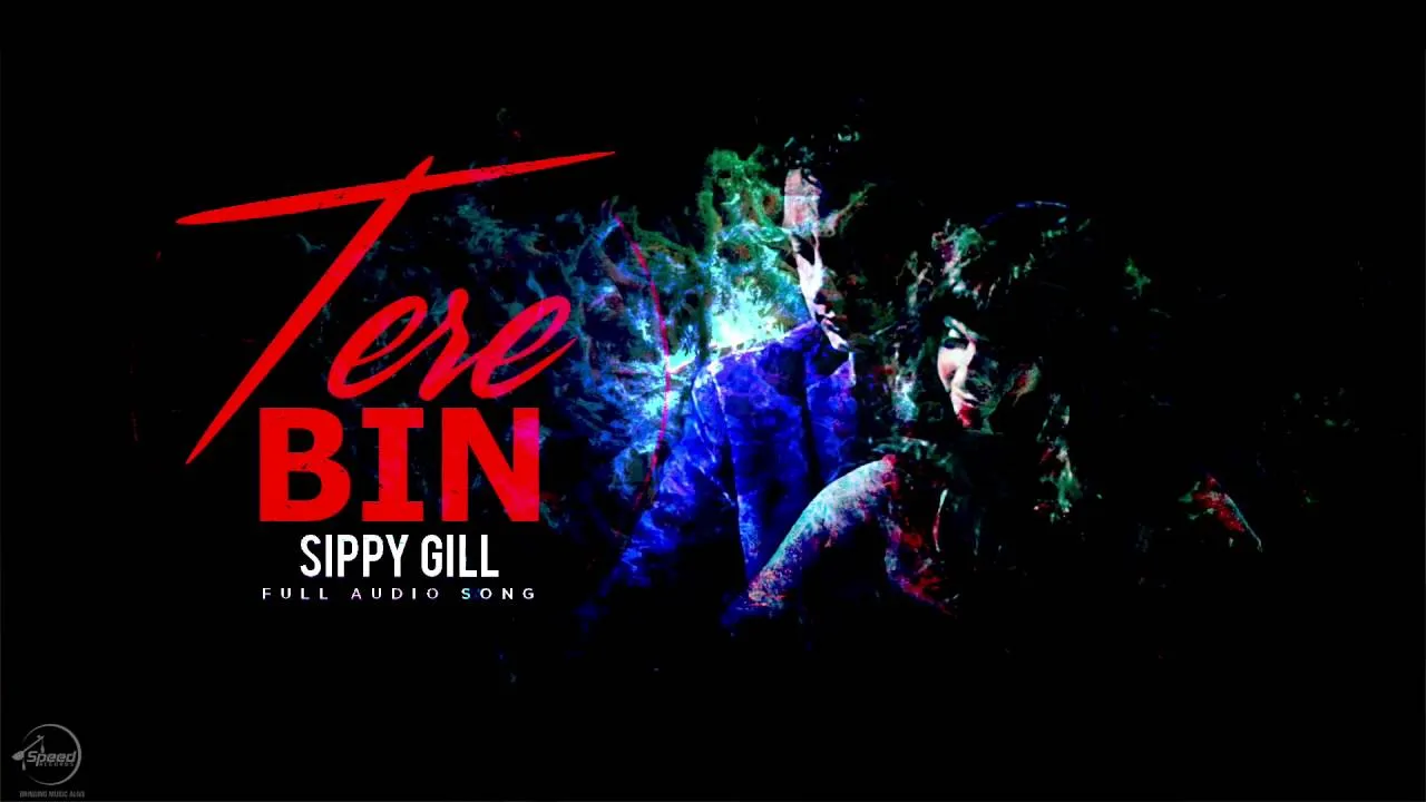 Tere Bin - Sippy Gill (Dus Mint) Poster