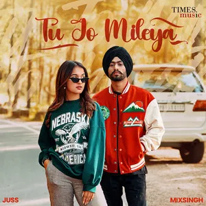  Tu Jo Mileya Song Poster