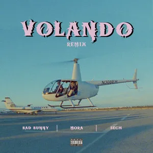  Volando - Remix Song Poster