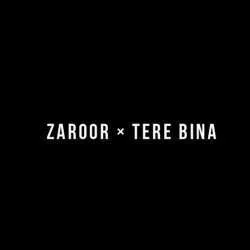 Zaroor X Tere Bina Slowed Mp3 Download Alvin Jax Poster